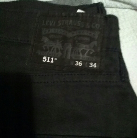 Levi - Picture 2 of 2